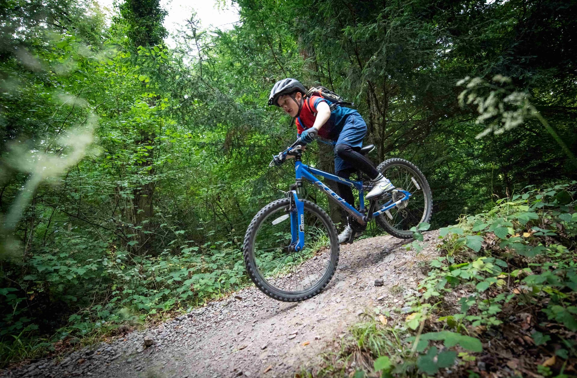 Person mountain biking on a dirt trail through a lush, green forest, wearing a helmet and backpack, riding a blue bike.