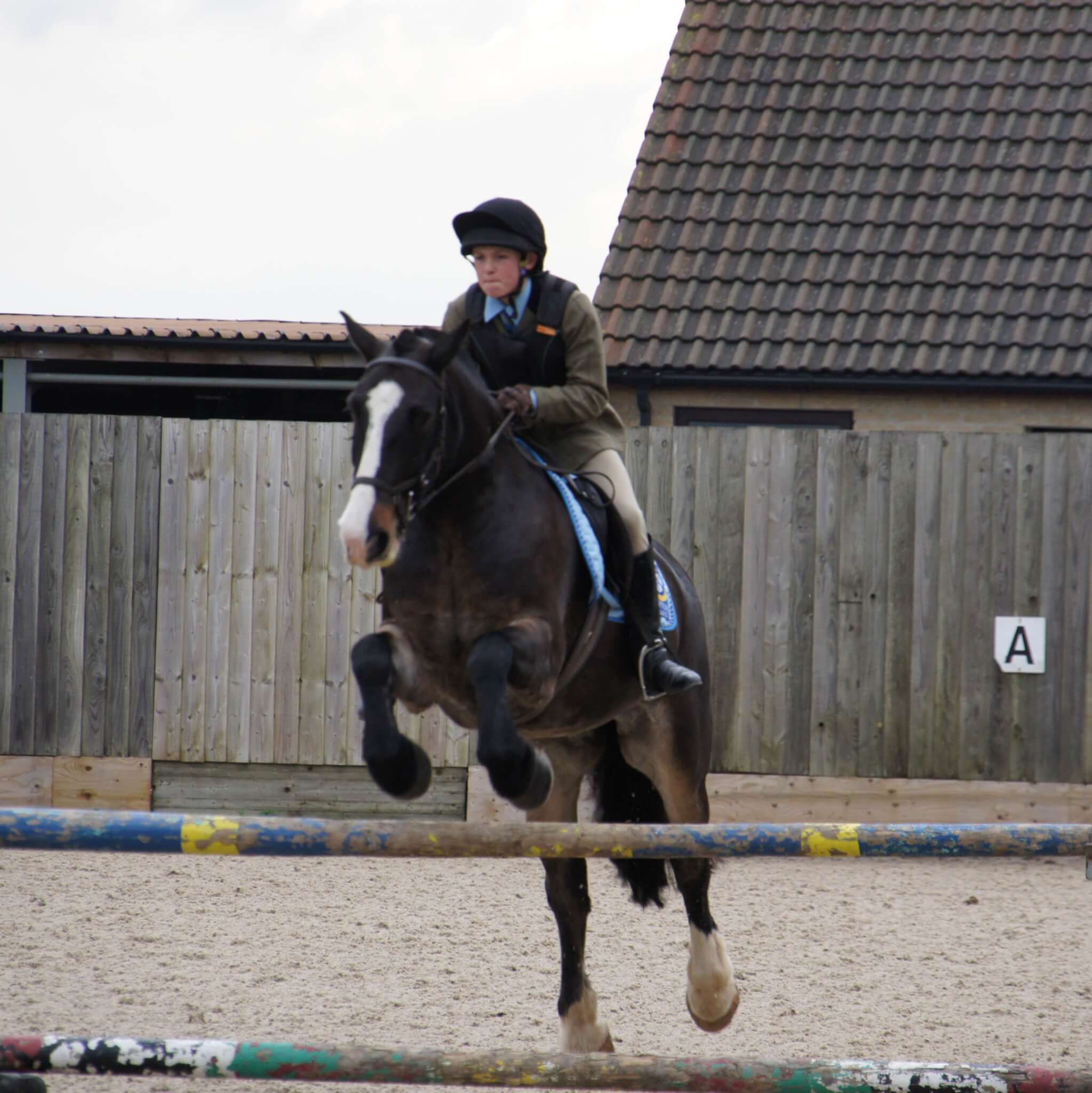 Equestrian Excellence - Clifton College 